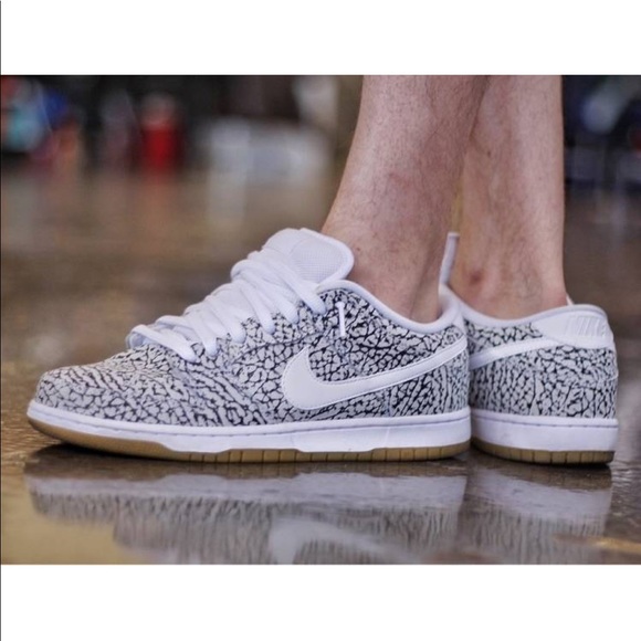 nike sb dunk low road